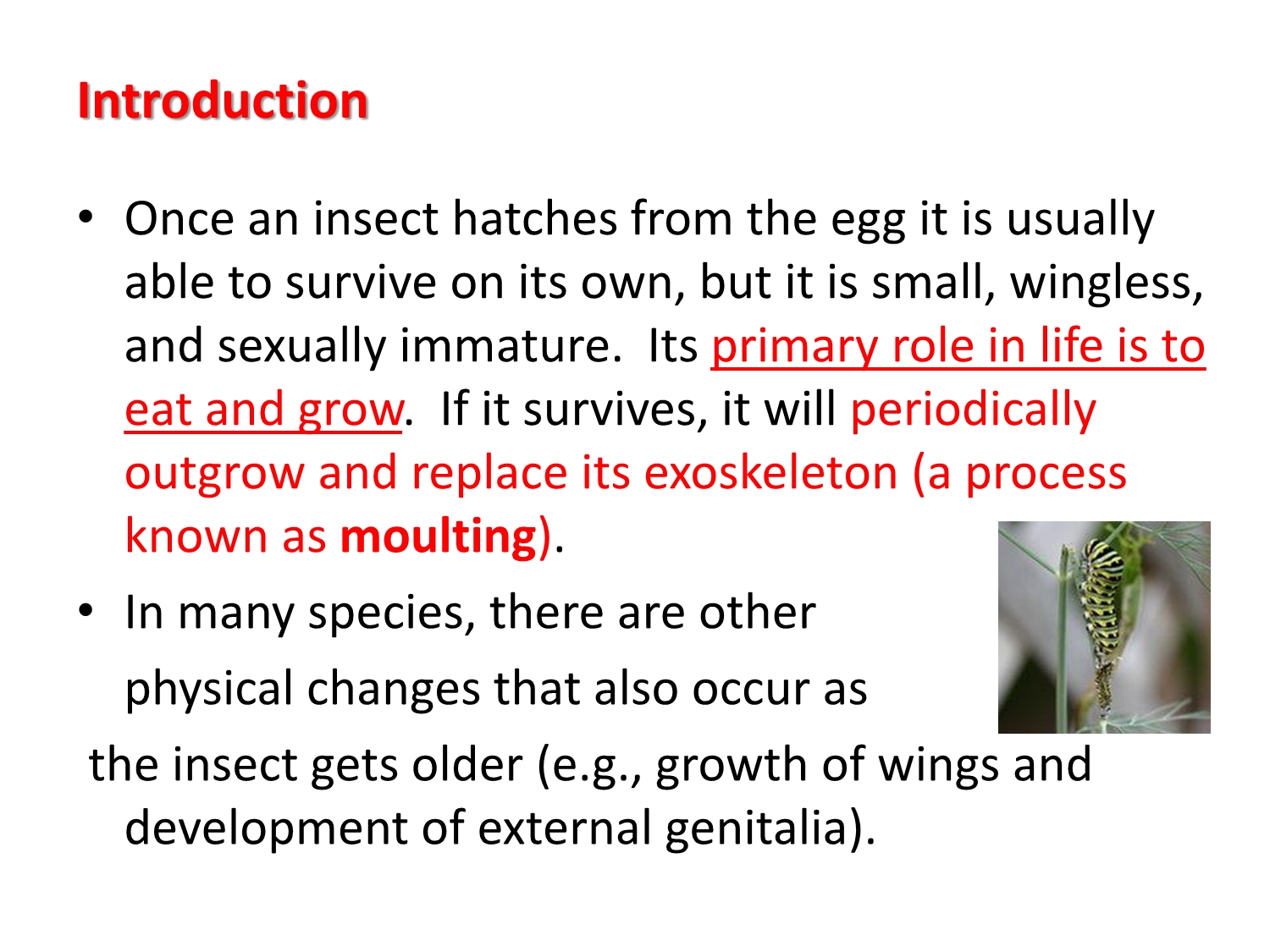 No preview available